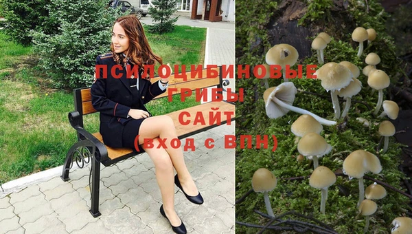 стаф Армянск