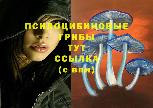 стаф Армянск